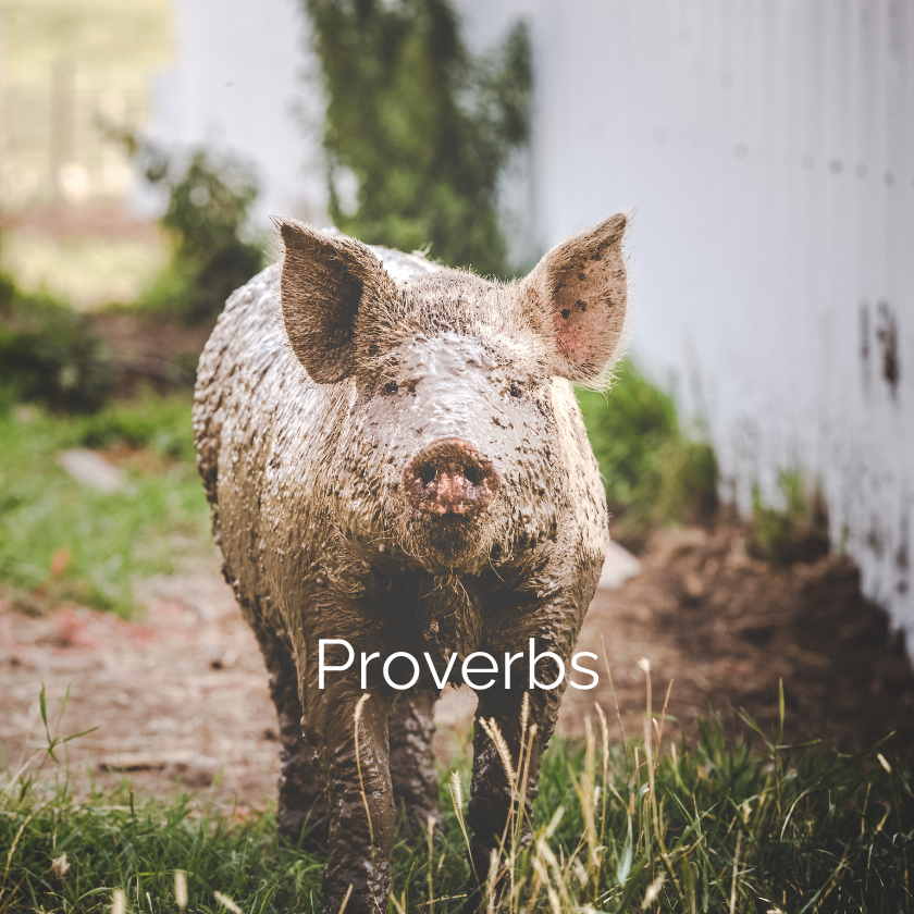 Proverbs