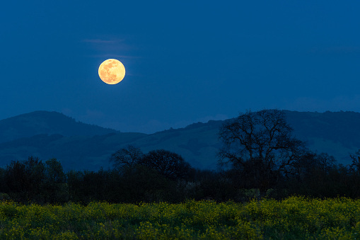 Spring Equinox – Jeanette Winterson: Mind Over Matter