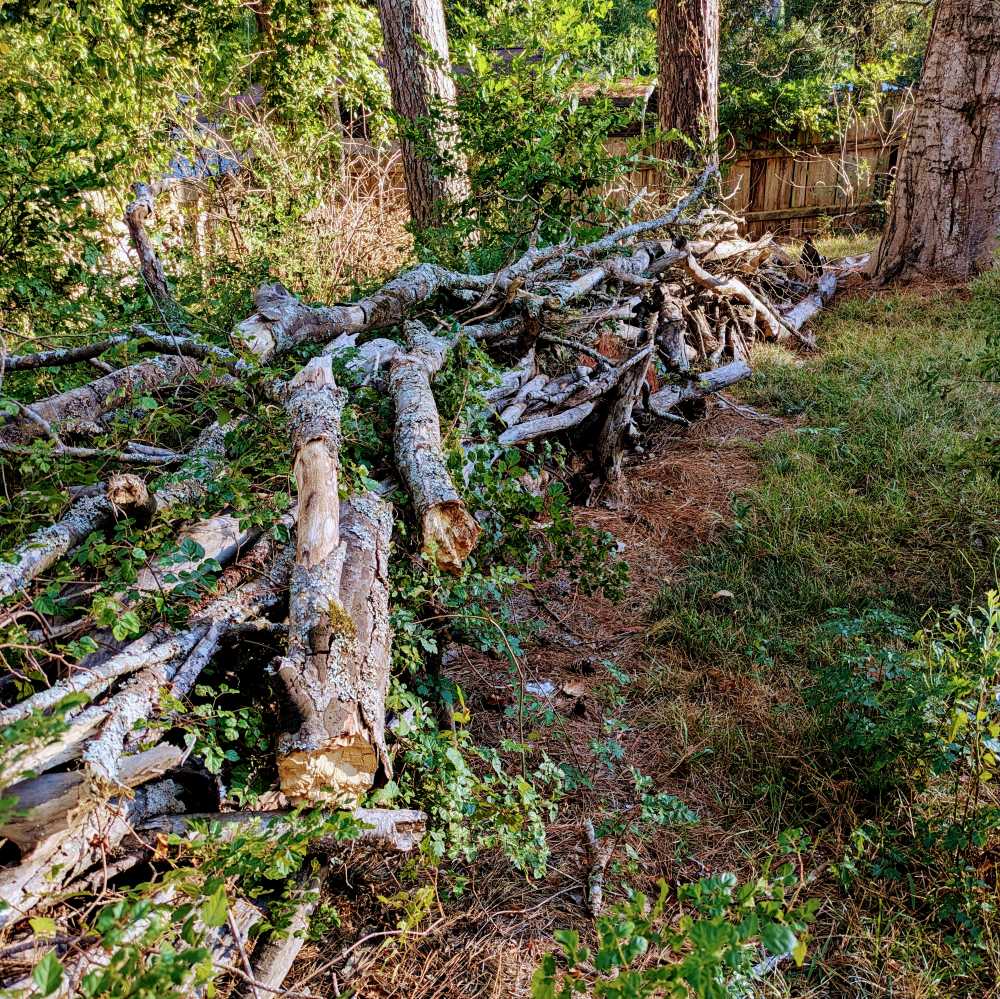 The dead hedge
